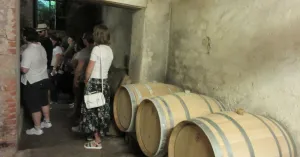 Ospitalità ed enoturismo - Immagine: 4