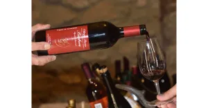 LE MAGIE DI MAGO MERLINO 2023 - Immagine: 3