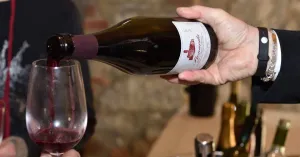 Cantina - Immagine: 1