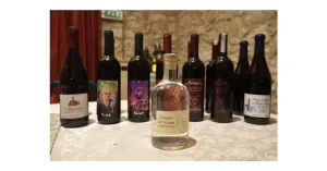 LE MAGIE DI MAGO MERLINO 2023 - Immagine: 7