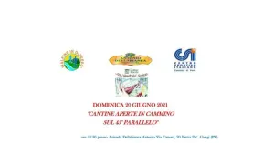 CANTINE APERTE AL 45° PARALLELO - Immagine: 1