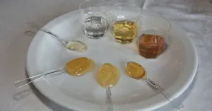 L'APE ... TORNA IN CUCINA 2022 - Immagine: 5