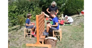 VENDEMMIAMO ASSIEME 2023 - Immagine: 6