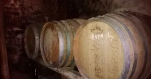Cantina - Immagine: 2