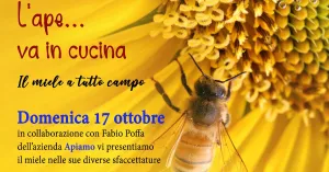 L'APE ...... VA IN CUCINA 2021 - Immagine: 2