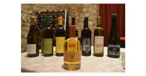 LE MAGIE DI MAGO MERLINO 2023 - Immagine: 6