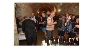 LE MAGIE DI MAGO MERLINO 2025 - Immagine: 7