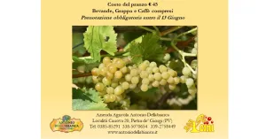 DAL VINO ..... TANTE SORPRESE 2024 - Immagine: 2
