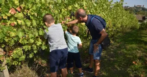 CANTINE APERTE IN VENDEMMIA Pietra dè Giorgi 2021 - Immagine: 1