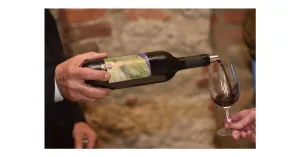 LE MAGIE DI MAGO MERLINO 2025 - Immagine: 3