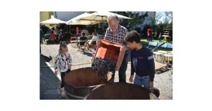 VENDEMMIAMO ASSIEME 2025 - Immagine: 4