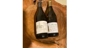 DAL VINO ..... TANTE SORPRESE 2024 - Immagine: 3