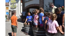 VENDEMMIAMO ASSIEME 2023 - Immagine: 3