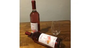 DAL VINO ..... TANTE SORPRESE 2024 - Immagine: 5