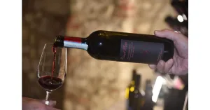 LE MAGIE DI MAGO MERLINO 2024 - Immagine: 5