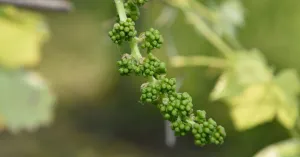 JUNE - Image: 4