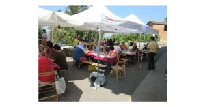 VENDEMMIAMO ASSIEME 2025 - Immagine: 5