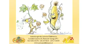 POLENTA A SAN MARTINO 2023 - Immagine: 2