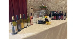 LE MAGIE DI MAGO MERLINO 2024 - Immagine: 3